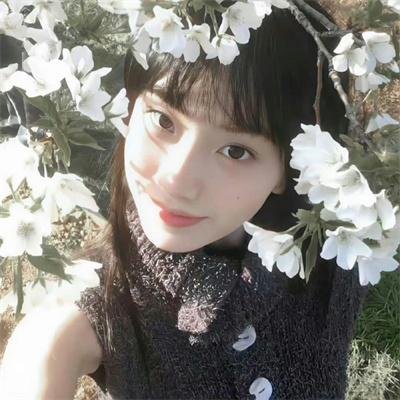 双子镇